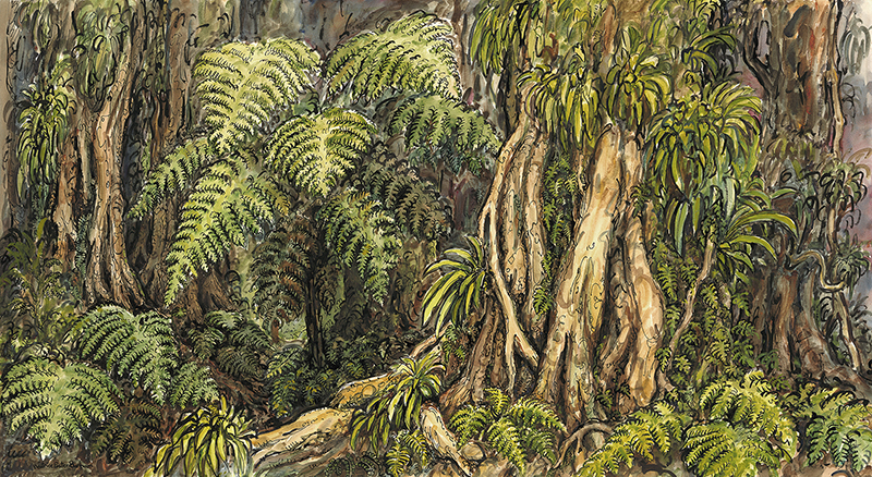 Kiwi Forest Art 014
